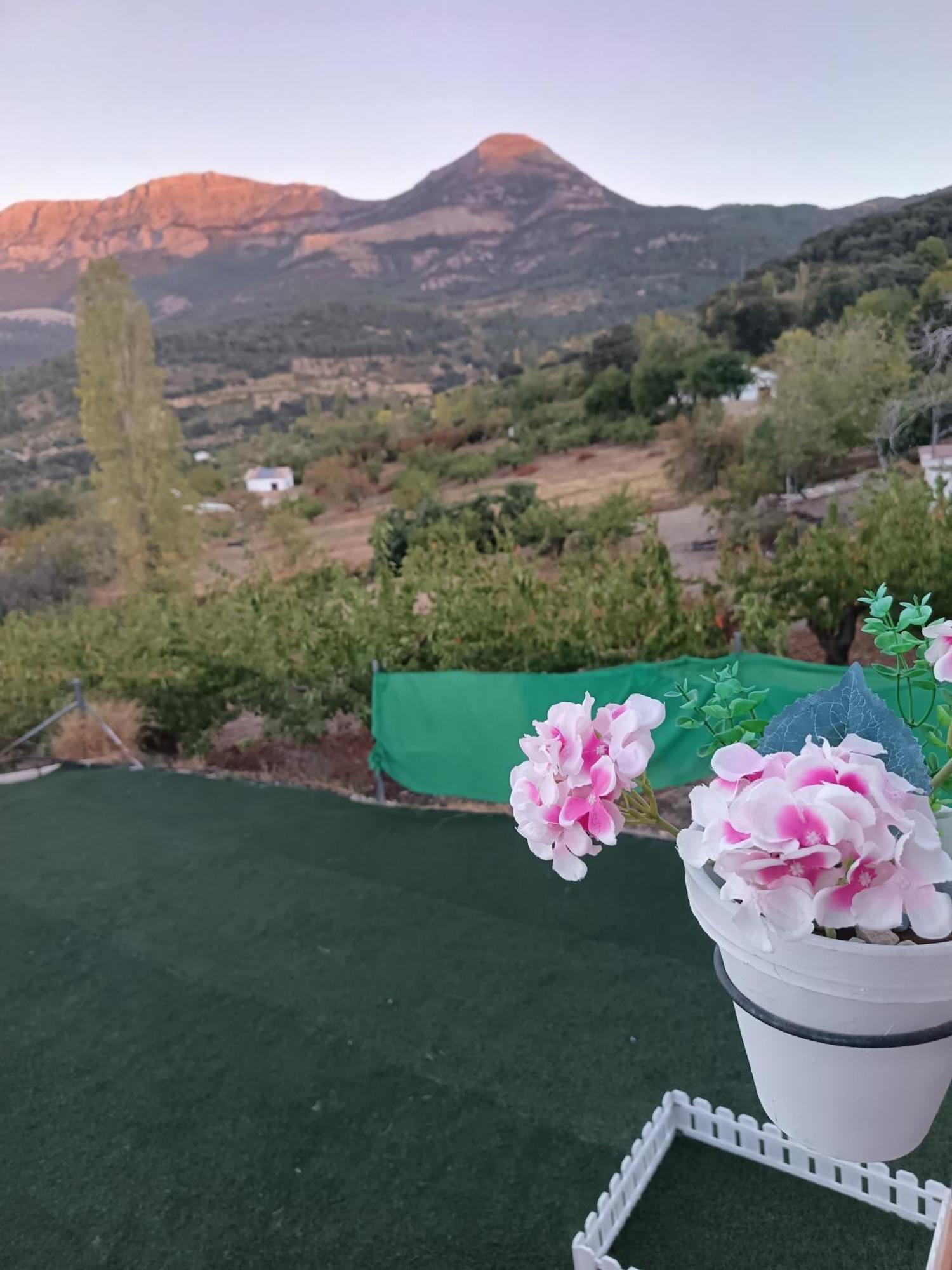 Los Cabales Torres  Ngoại thất bức ảnh