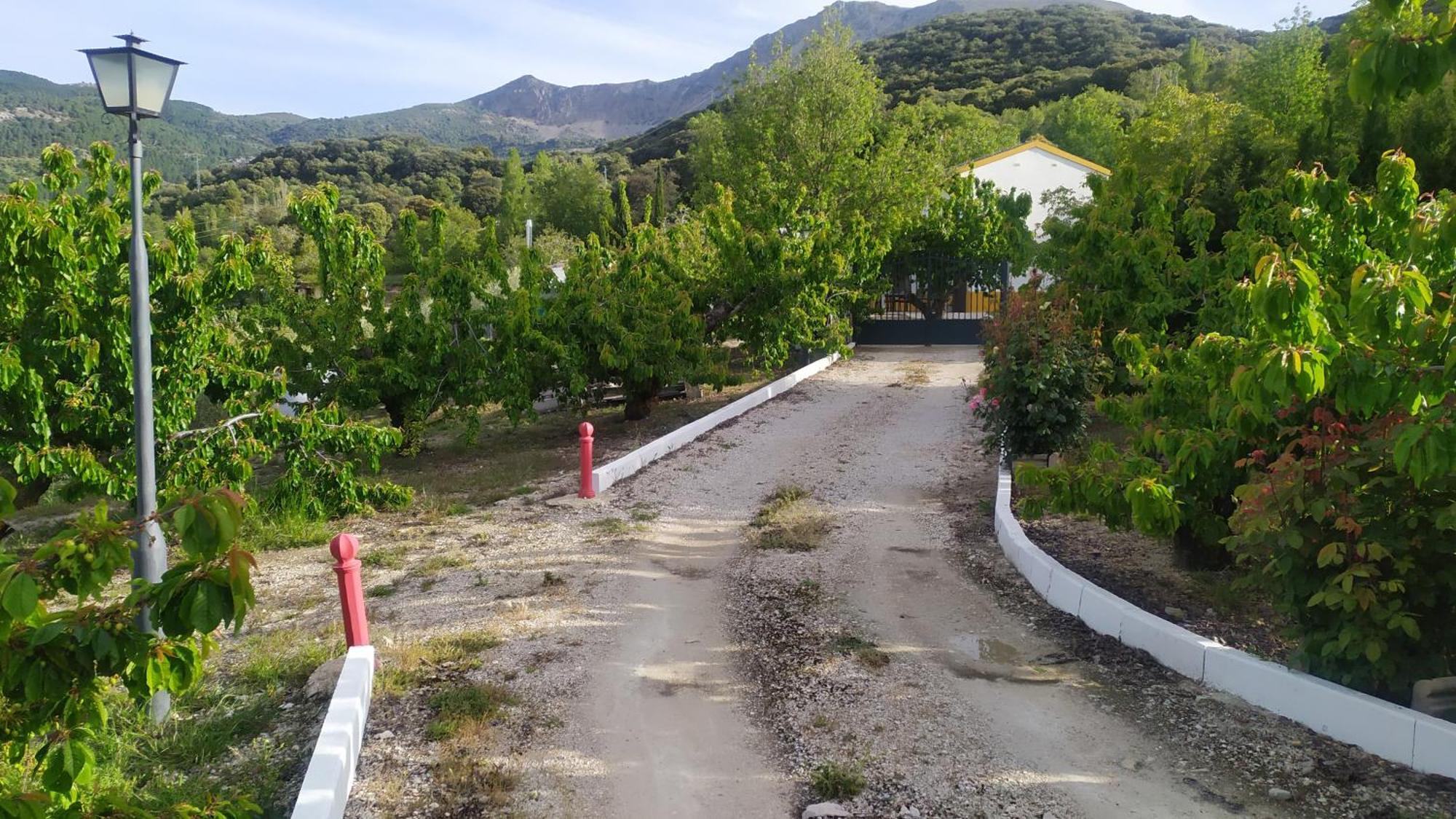 Los Cabales Torres  Ngoại thất bức ảnh